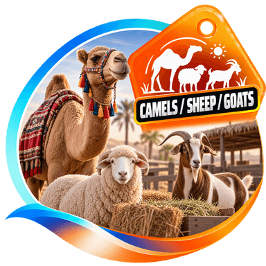 Camels / Sheep / Goats